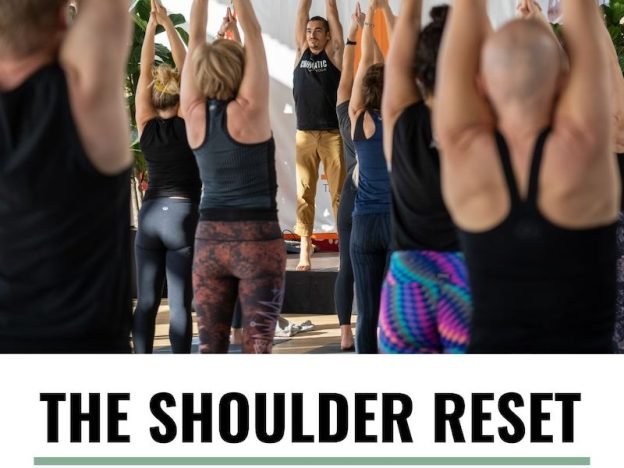 THE SHOULDER RESET - ONLINE WORKSHOP course image