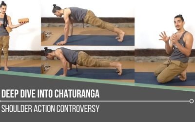 Deep Dive Into Chaturanga