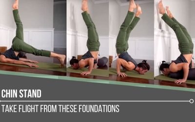 Chin Stand