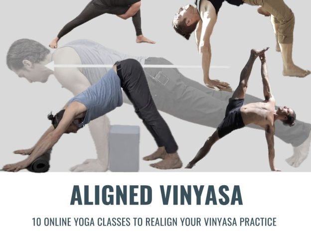 Aligned Vinyasa course image