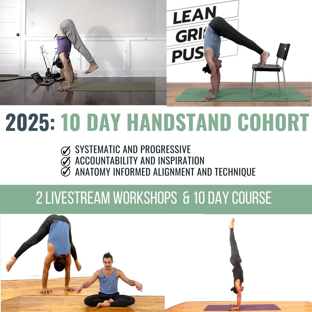 chromatic yoga 15 hour immersion