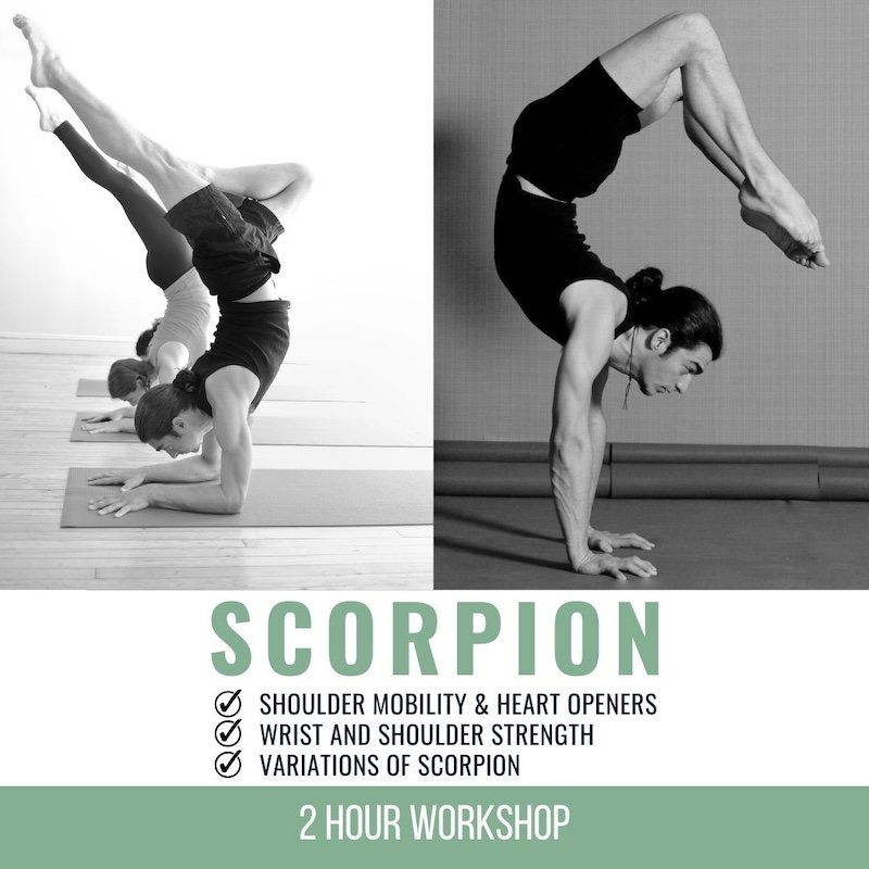 Copy of Archna Mohan chromatic - 6 chromatic yoga 15 hour immersion