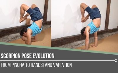 Scorpion Pose Evolution