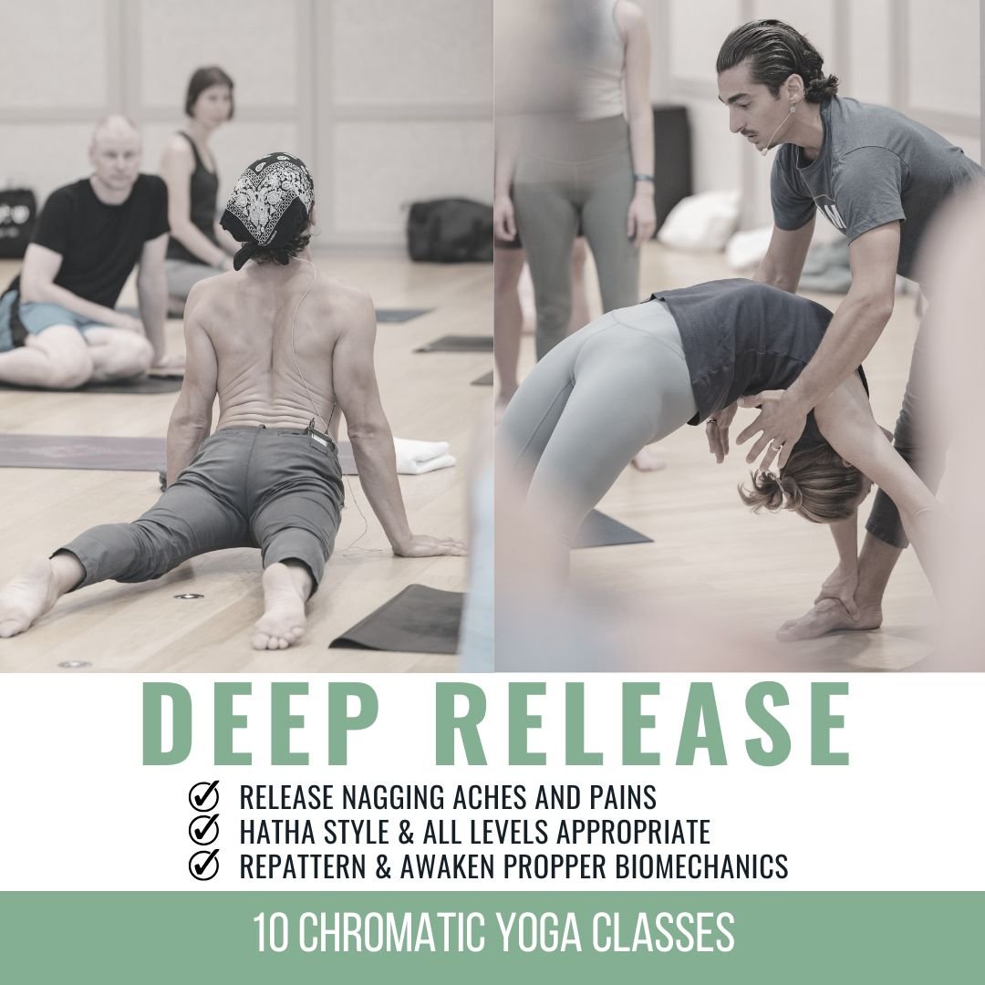 chromatic yoga 15 hour immersion