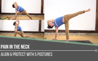 Pain In The Neck