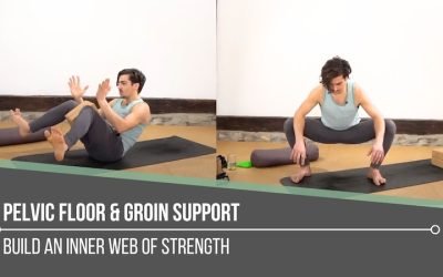 Pelvic Floor and Groin Support