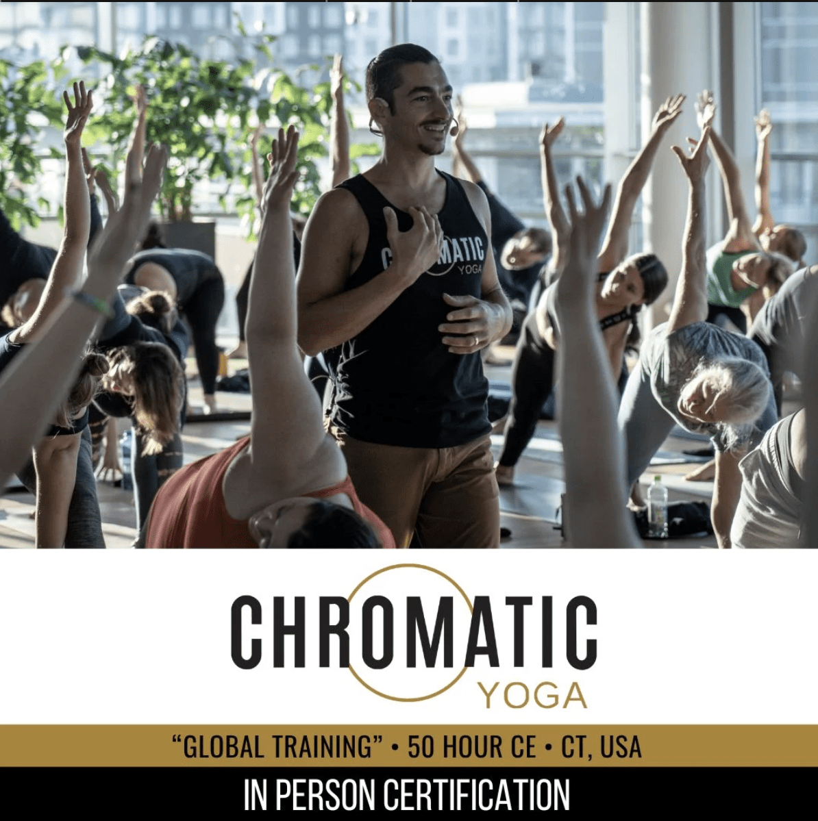 chromatic yoga 15 hour immersion