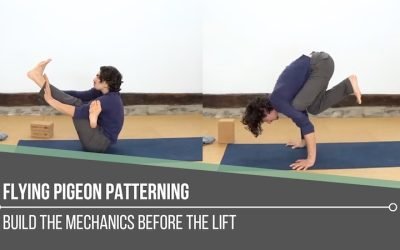 Flying Pigeon Patterning